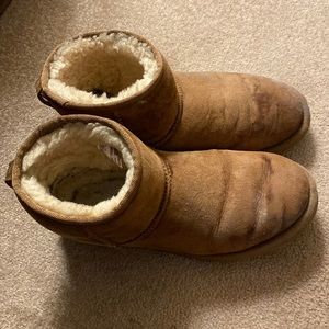 Short Chestnut Uggs